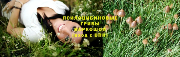 эйфоретик Верея